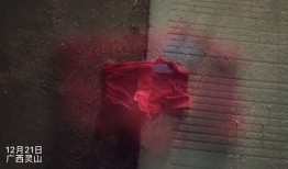 追击套最新爆料视频在线观看,追击套幕后真相，在线观看视频深度解析